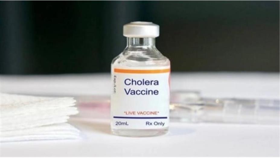 الكوليرا.. عودة اللقاح بعد غياب 30 سنة
