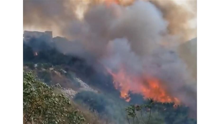 بالفيديو - حريق بشامون لا يزال يتوسع.. ووزير البيئة يناشد!
