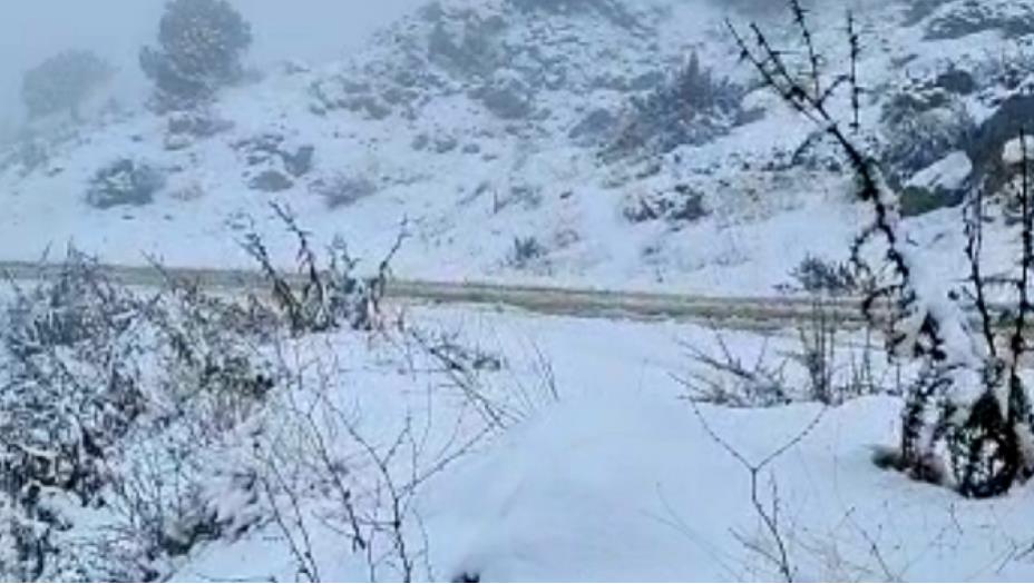 الثلوج غطت مرتفعات عكار وقطعت الطرقات