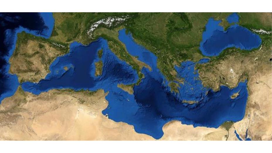 الموت في آب.. موجة حر غير مسبوقة في مياه البحر المتوسط!
