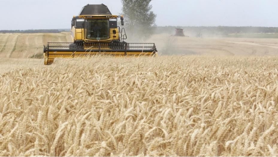 لماذا تربك أسعار الصادرات الروسية أسواق القمح؟
